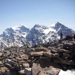 Meet your Posher, Riley